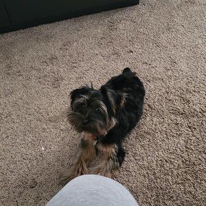 Meet your Posher, Vaughnifer